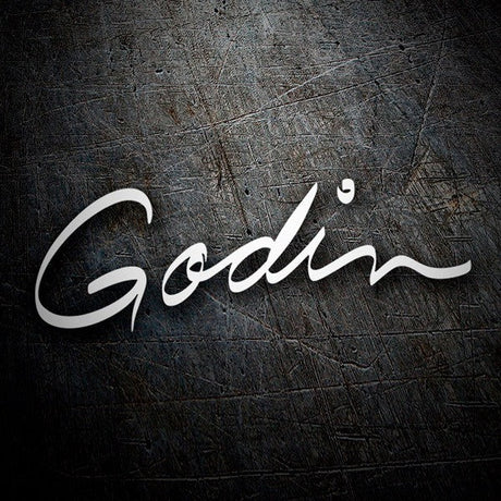 GODIN Amplificazione